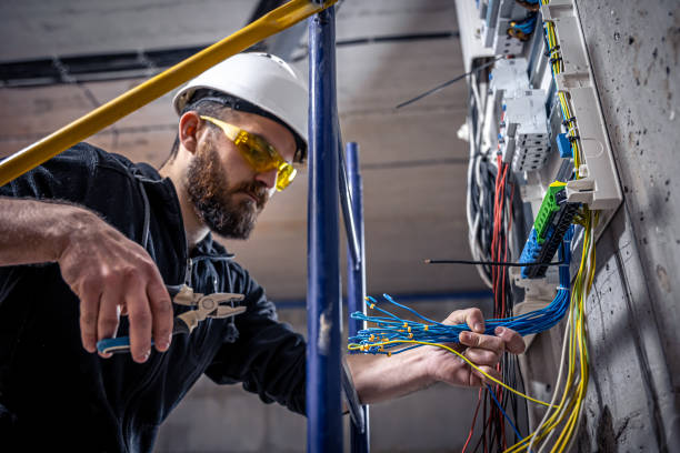 Best Licensed Electrician  in Tellico Plains, TN